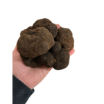(Tuber melanosporum Vittadini) truffe noire 2-3 nov-mars - Modifié