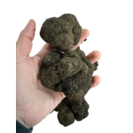 (Tuber melanosporum Vittadini) truffe noire 1-3 nov-mars - Modifié