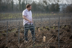 Julien dans les vignes www.luxfood-shop.fr