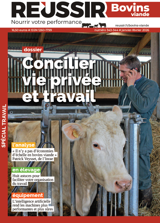 Abonnement Réussir Bovins Viande