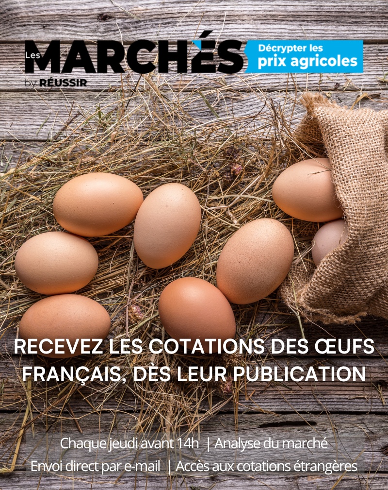 COTATIONS OEUFS FRANCAIS_v2