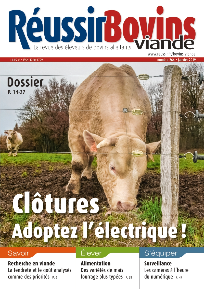 Offre Spéciale - Réussir Bovins Viande - Elevages - La Boutique Réussir