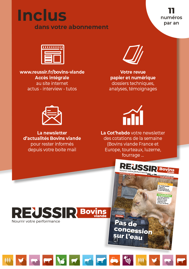 Boutique-Revues-BV
