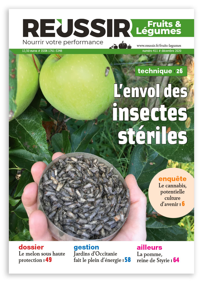 Reussir Fruit Et Legumes