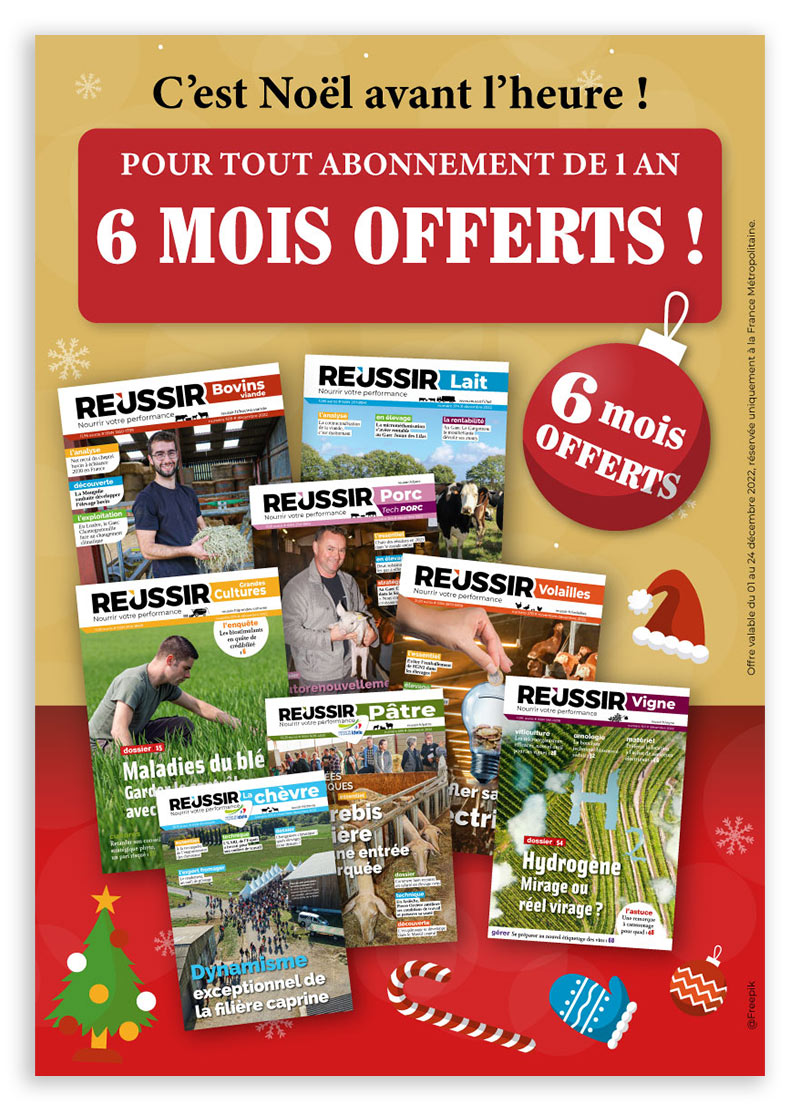 1-an-6-mois-offerts