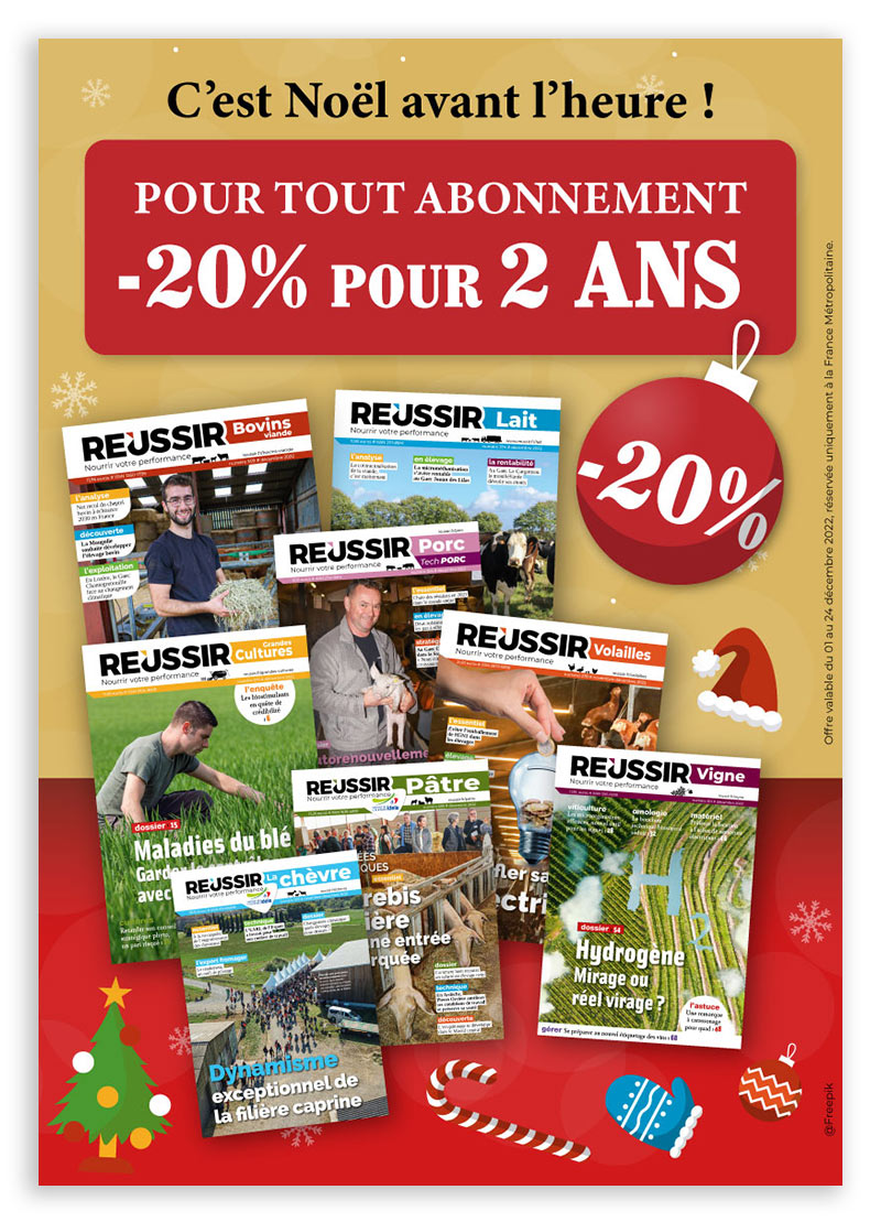 20%-pour-2-ans