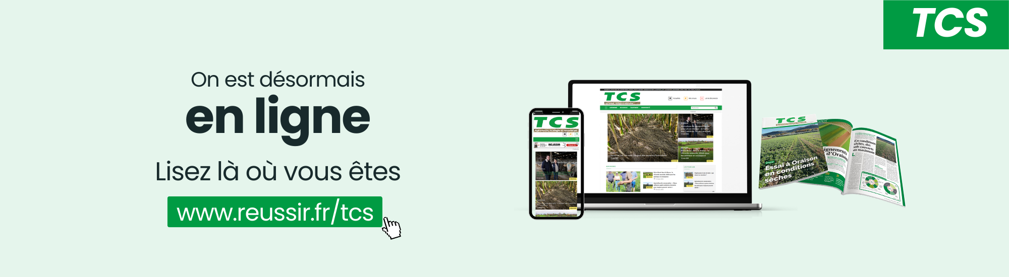 TCS