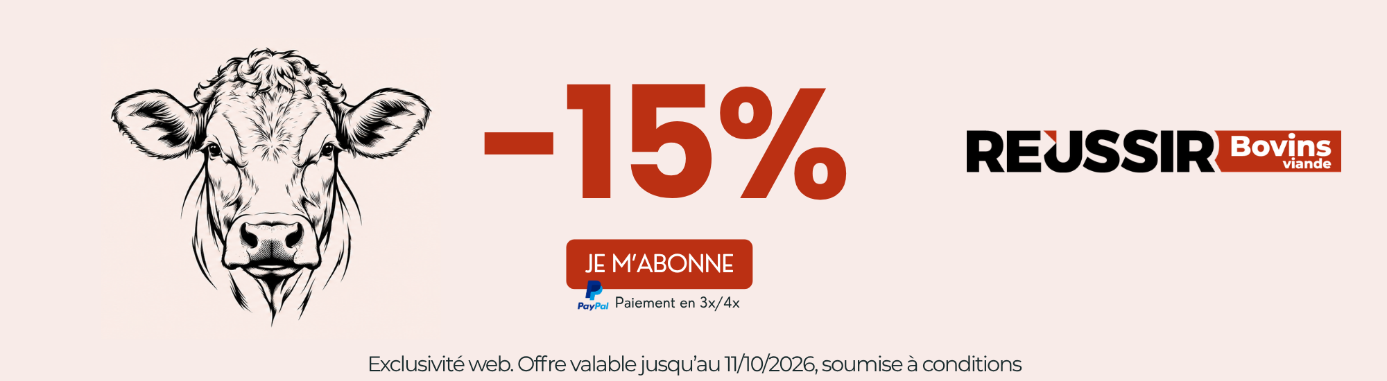 Bannière Réussir Bovins Viande