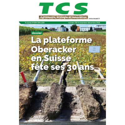 TCS