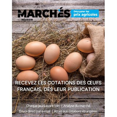 COTATIONS OEUFS FRANCAIS_v2