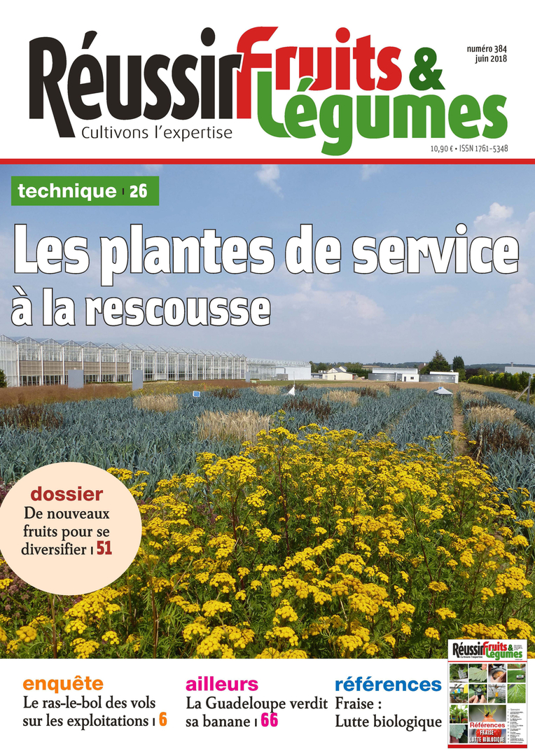 REUSSIR FRUITS ET LEGUMES