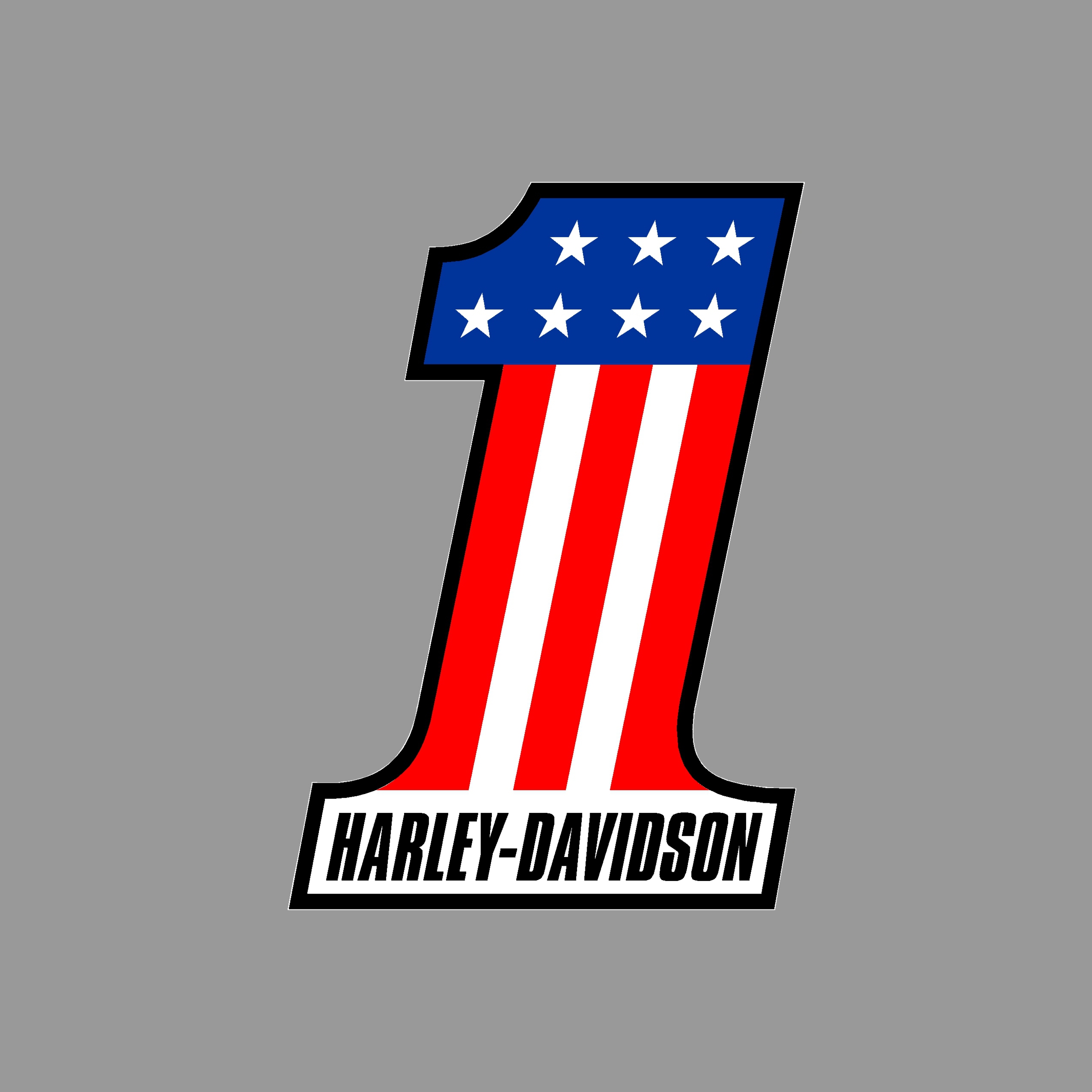Sticker HARLEY DAVIDSON ref 113