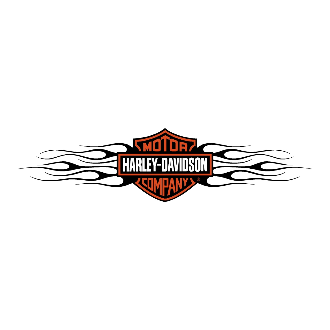 sticker-harley-davidson-ref14-bar-shield-company-flammes-moto-autocollant-casque