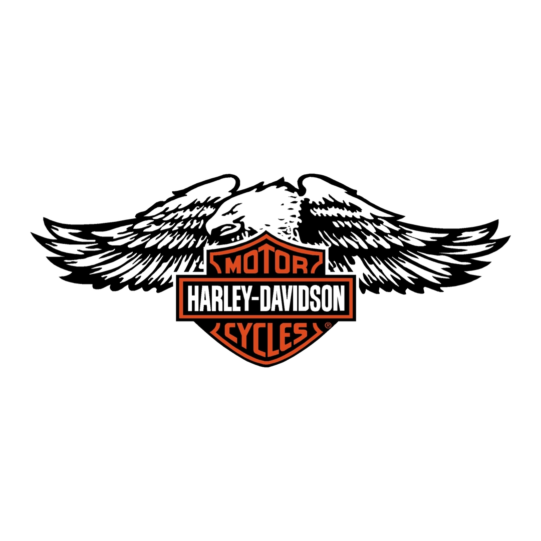 sticker-harley-davidson-ref75-bar-shield-aigle-moto-autocollant-casque-tuning-deco-motar