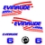kit_evinrude_6cv_serie_2_ref1_autocollant_decals_sticker