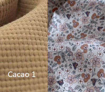 cacao 1