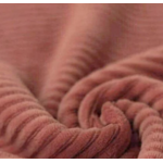 TISSU2024 (25)