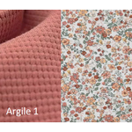 argile 1