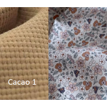 cacao 1