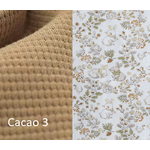 cacao 3