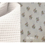 ECRU 1