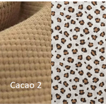 cacao 2