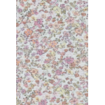 Capture14