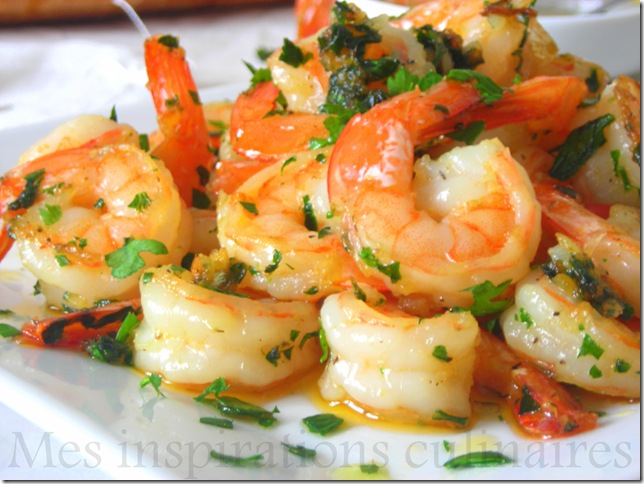 scampis