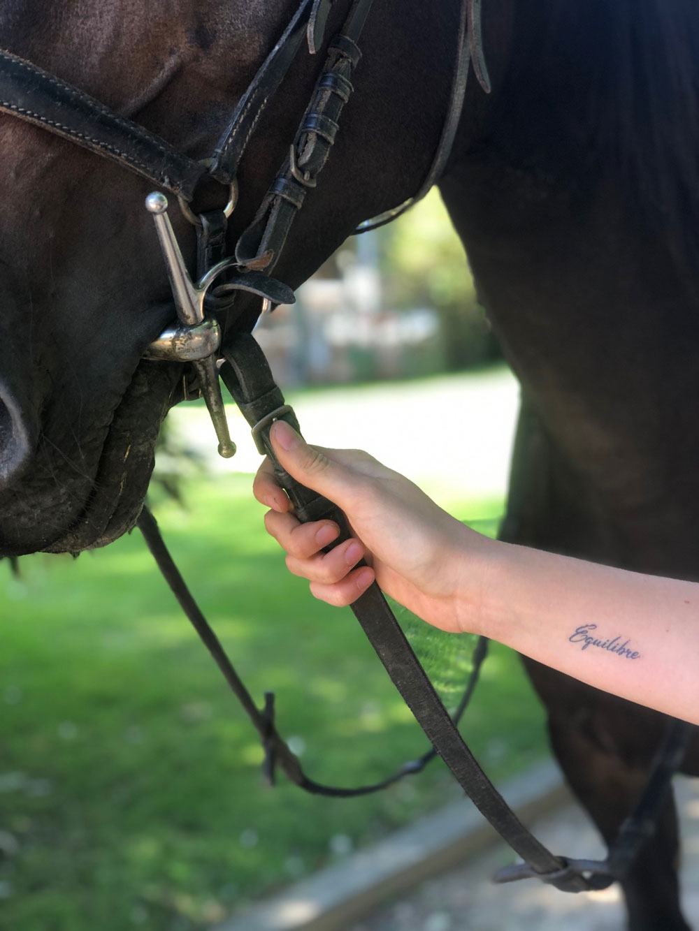 tatouage-merveille-cheval