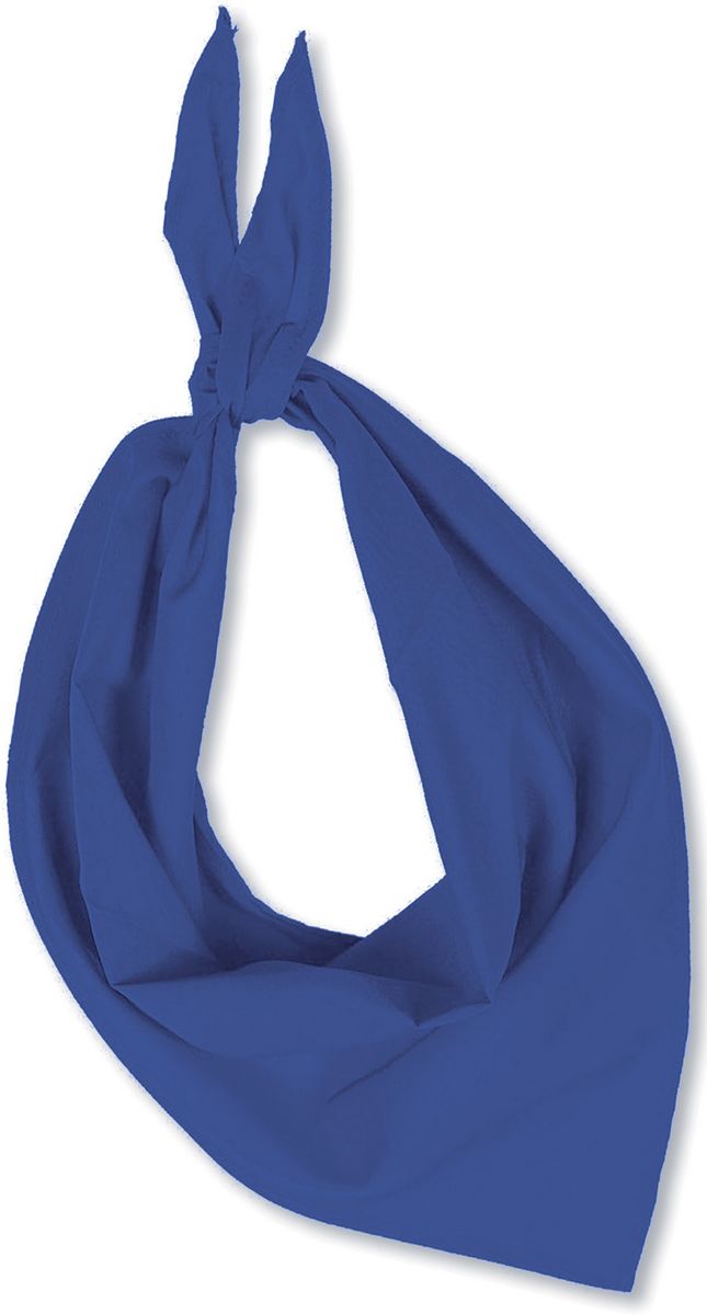 063219_foulard_sportifrance (1)