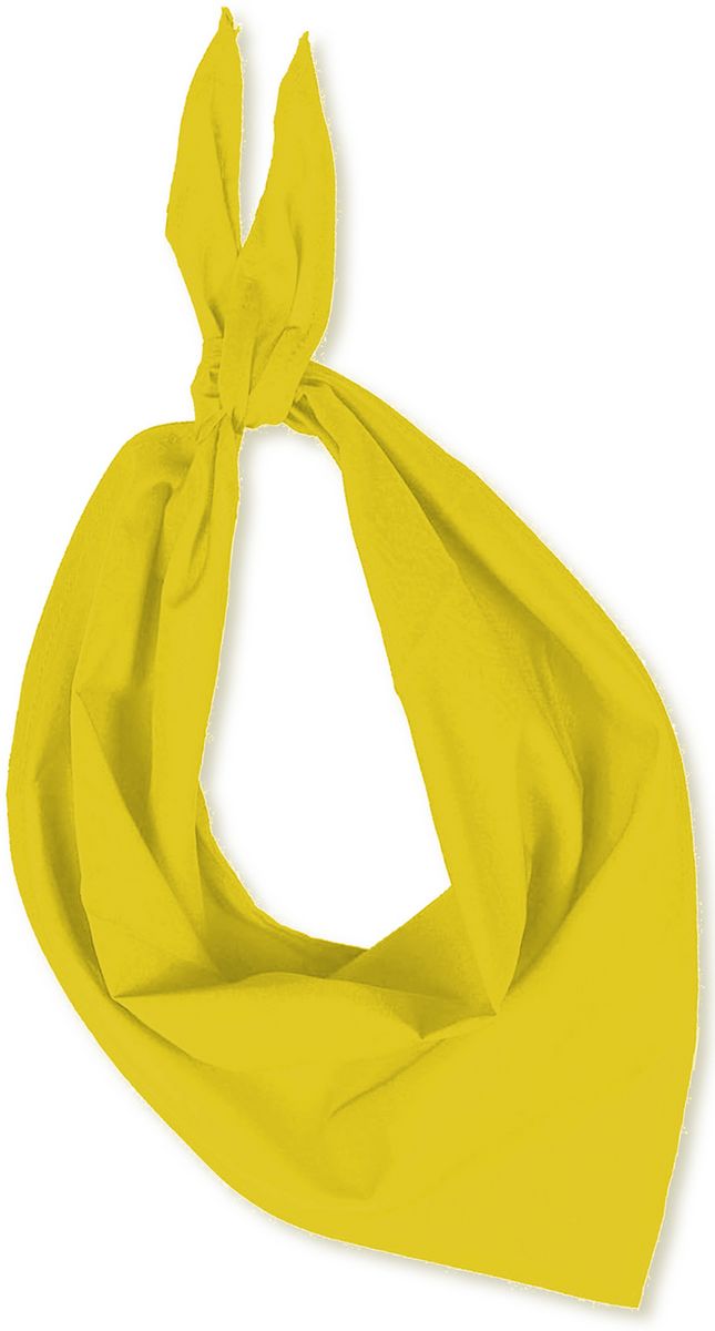 063219_foulard_sportifrance (3)