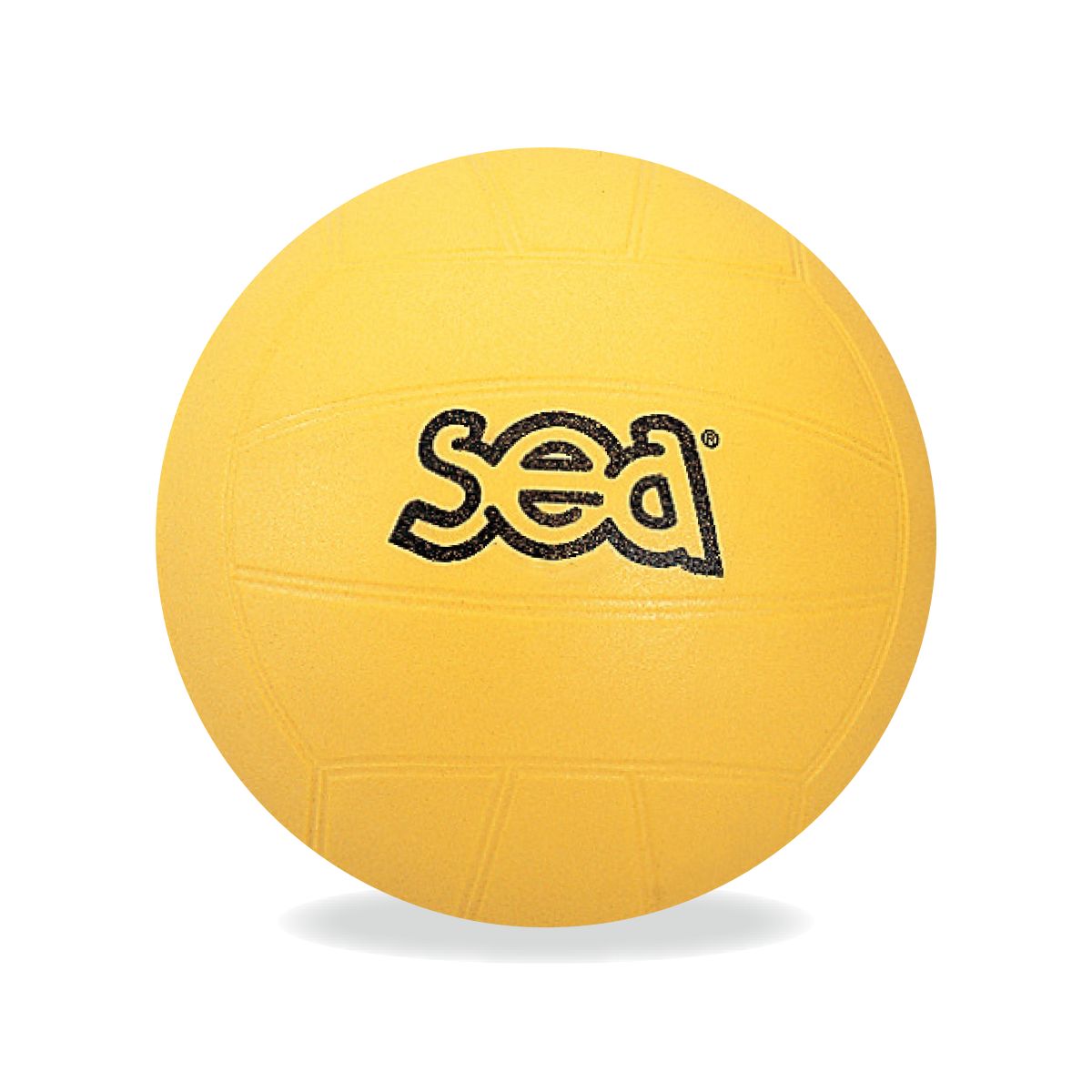 SEA BALLON DE VOLLEY INITIATION 20 cm