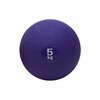 SPORTI_044029_medecine_ball_gonflable_violet_5kg_sgequipement_sg_equipement