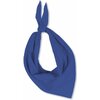 063219_foulard_sportifrance (1)