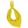063219_foulard_sportifrance (3)