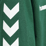 203509-6140_hummel_Sweat_à_capuche_HMLGO_COTTON_JR_evergreen (4)