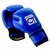 BO001_TREMBLAY_gant_de_boxe_bleu