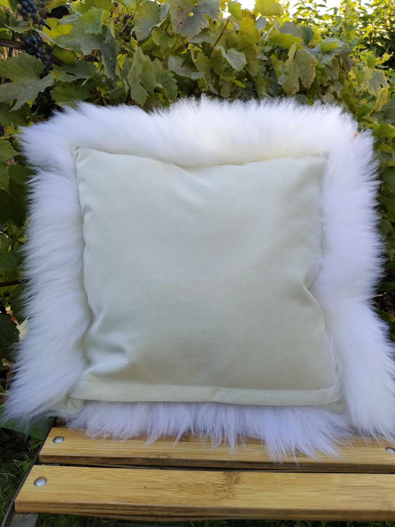 PEAU DE COUSSIN BLANC (2)