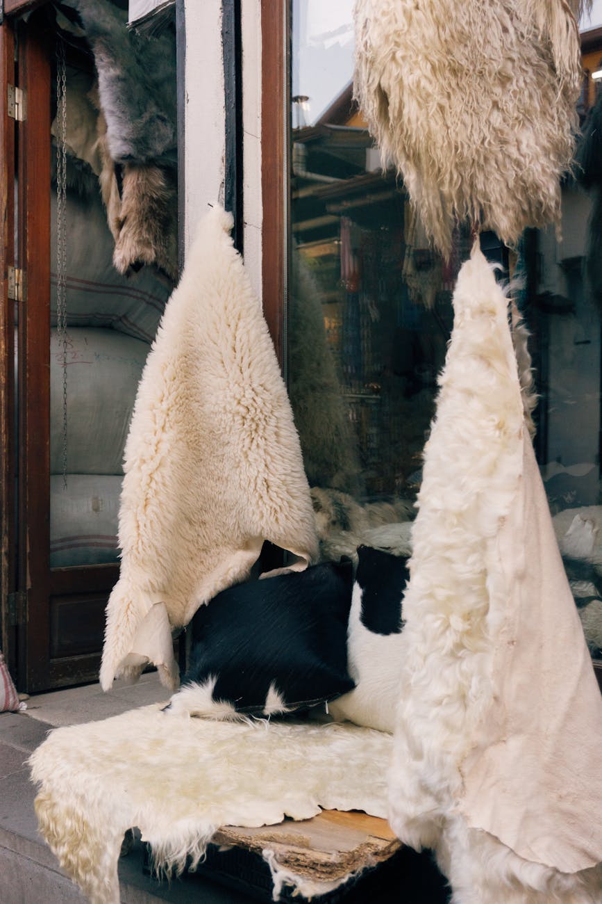 Tapis En Peau De Mouton Exposés à Lextérieur Sur Un Marché
