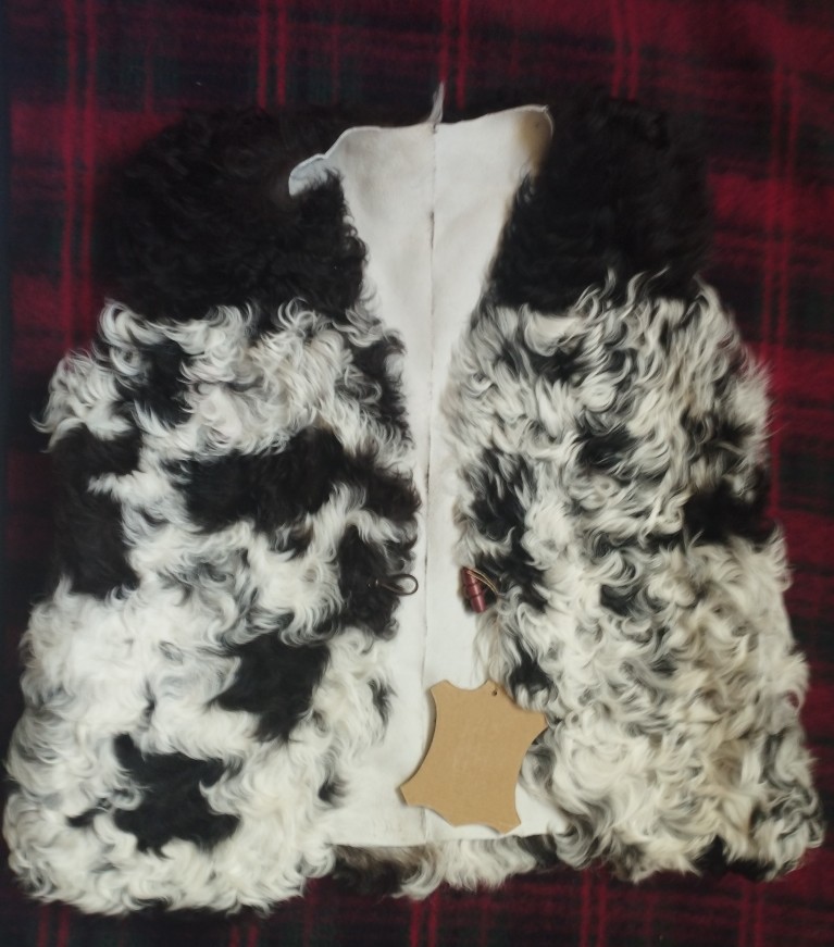 gilet