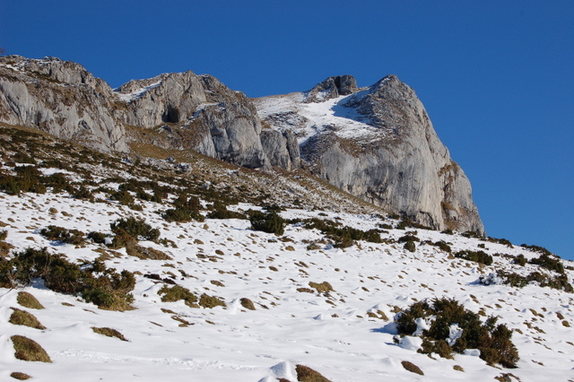 LHERIS PAR ASTE JAN 09 (12)