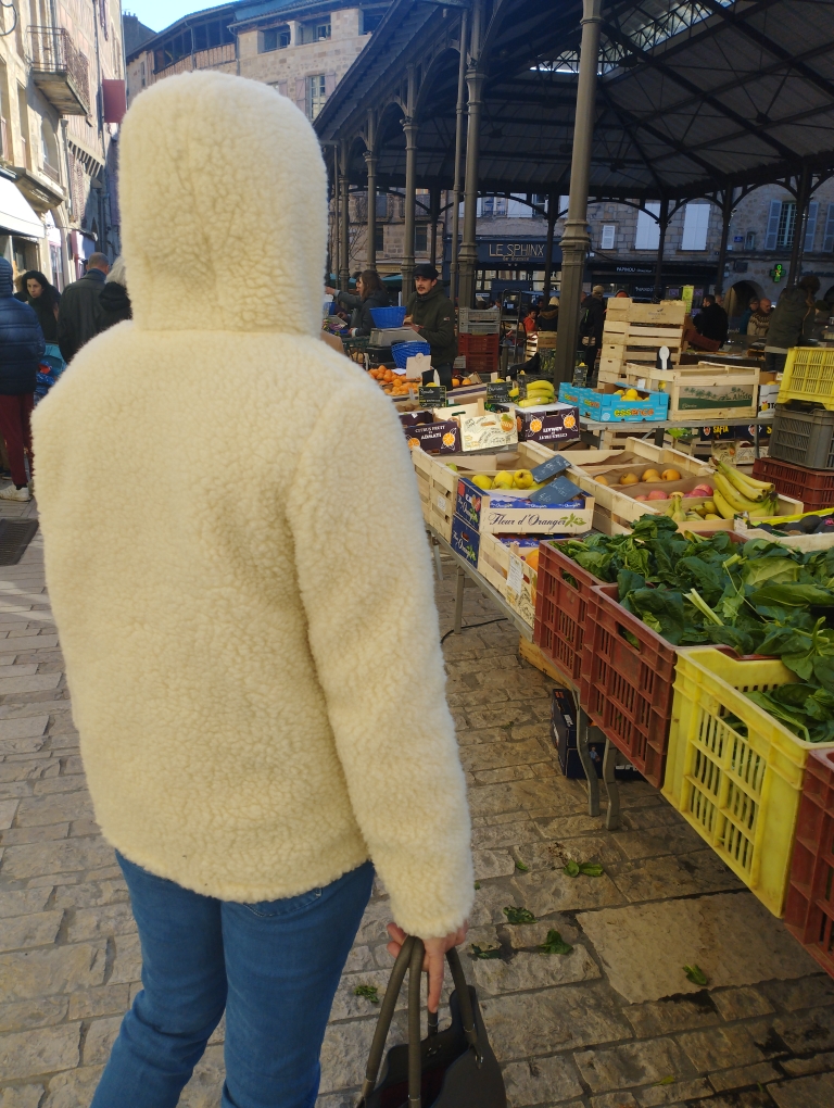 Sweat-shirt à capuche, capuche à col châle et imprimé brodé Real Heritage., vert de nuit