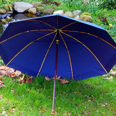 PARAPLUIE berger
