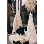 Tapis En Peau De Mouton Exposés à Lextérieur Sur Un Marché