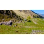 COURBET PANO 1
