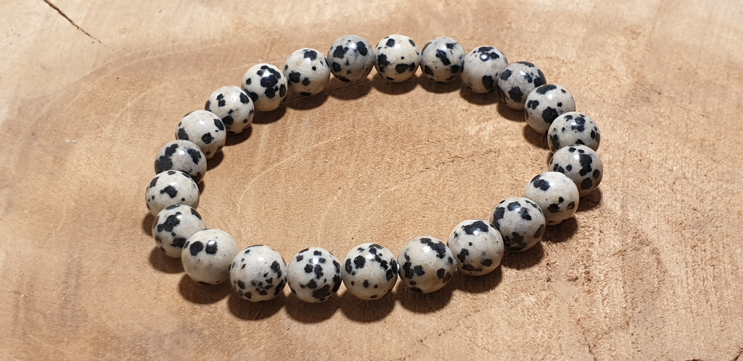 jaspe dalmatien 2