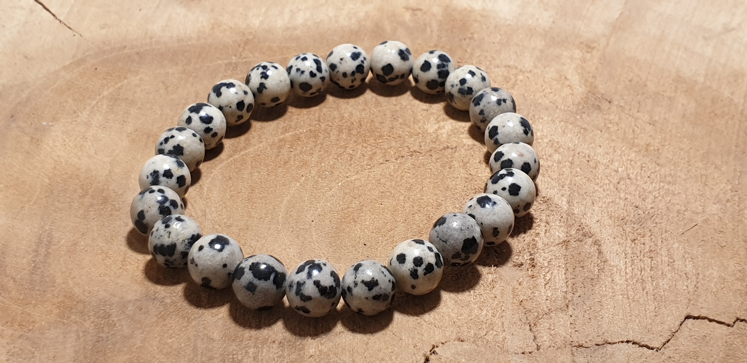 jaspe dalmatien 3