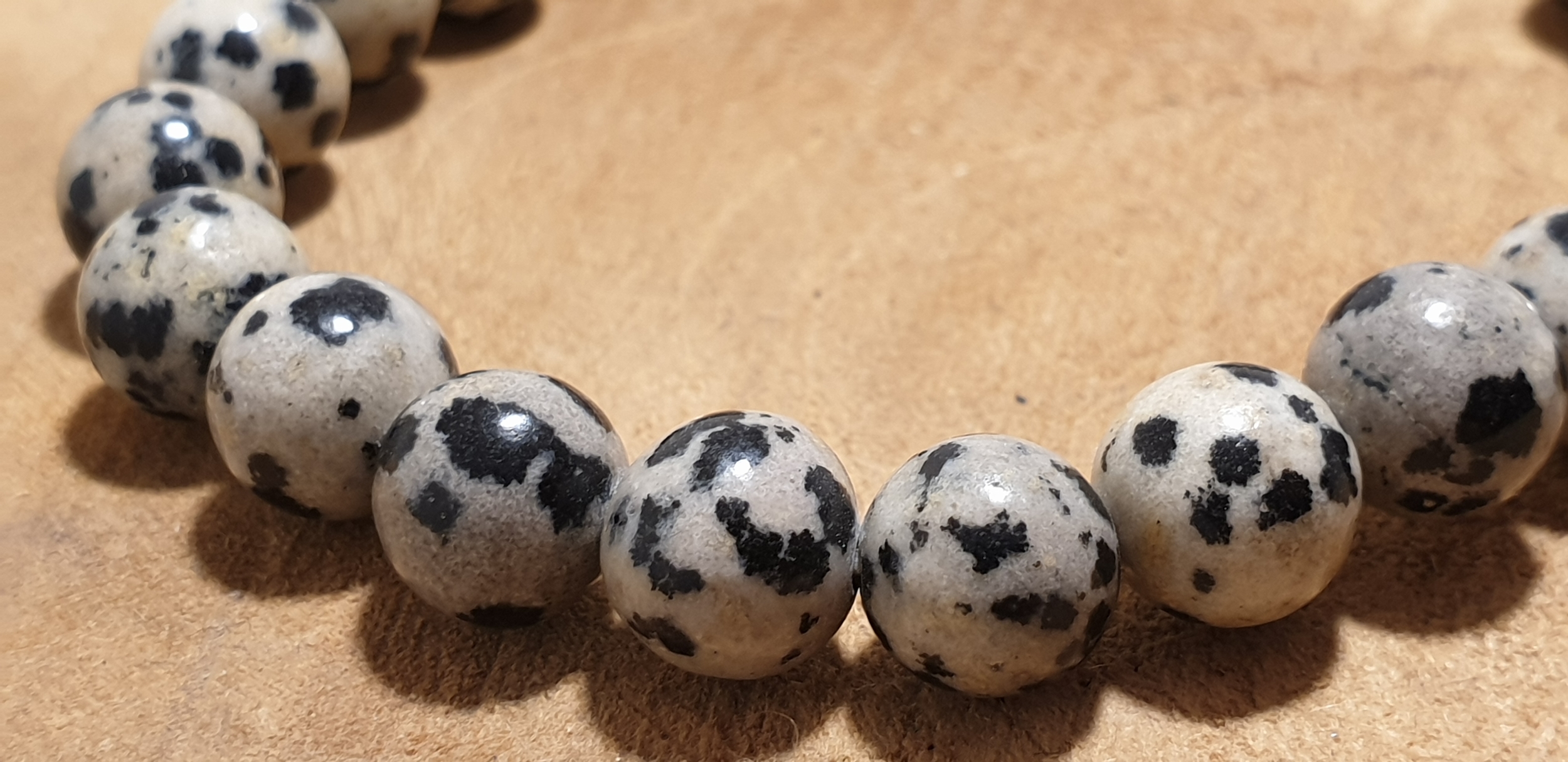 jaspe dalmatien 4