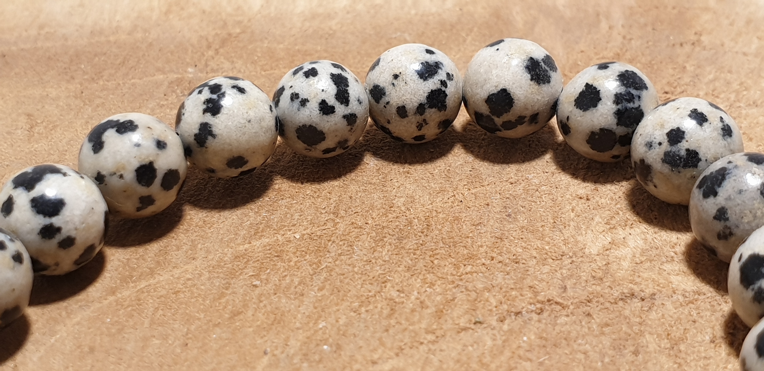 jaspe dalmatien 5