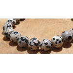 jaspe dalmatien 4